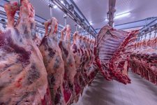 نرم افزار ERP در صنعت فراوری گوشت